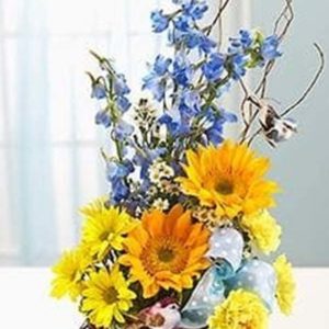 Welcome to the World - Blue