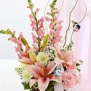 Welcome to the World - Pink