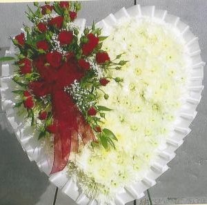 Sympathy Broken Heart