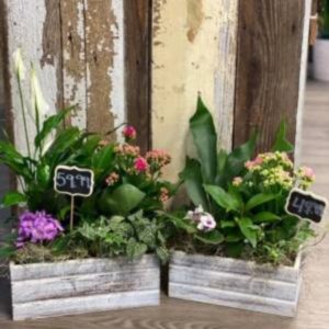 Grandma's Window Box