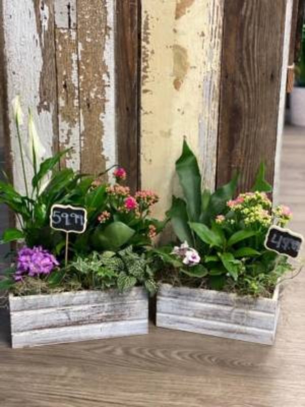 Grandma's Window Box