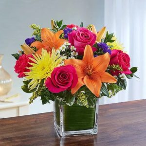 Healing Hope - Multi-Color