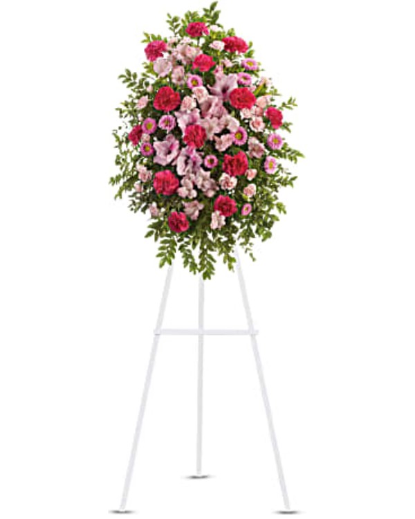 Teleflora's Pink Tribute Spray