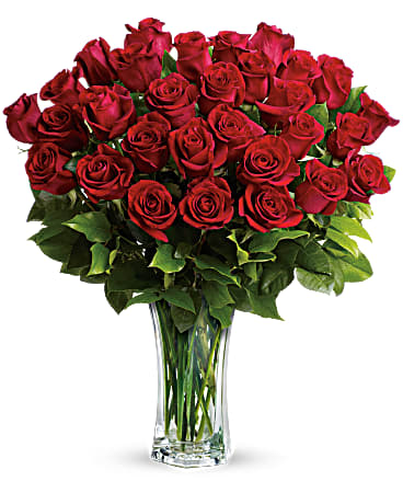 Love & Devotion Long Stem Roses