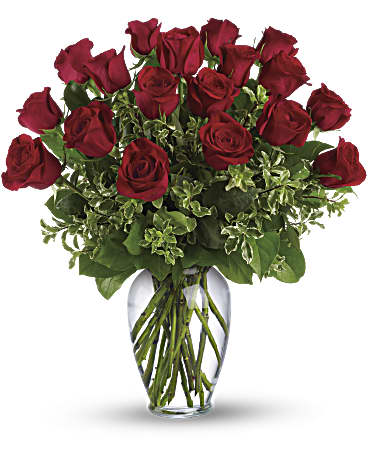 Long Stem Red Roses by the Dozen